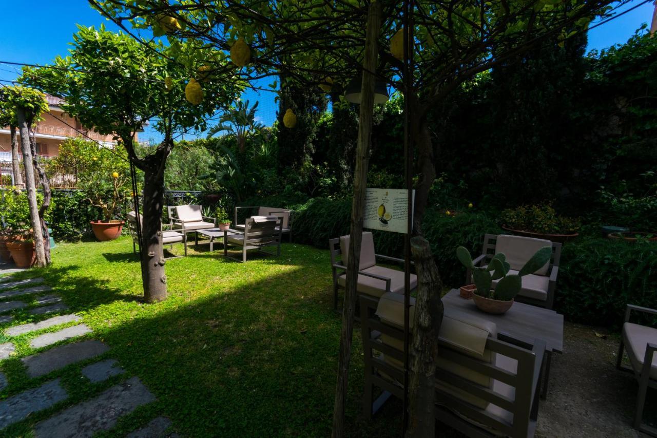Forum Hotel 4*